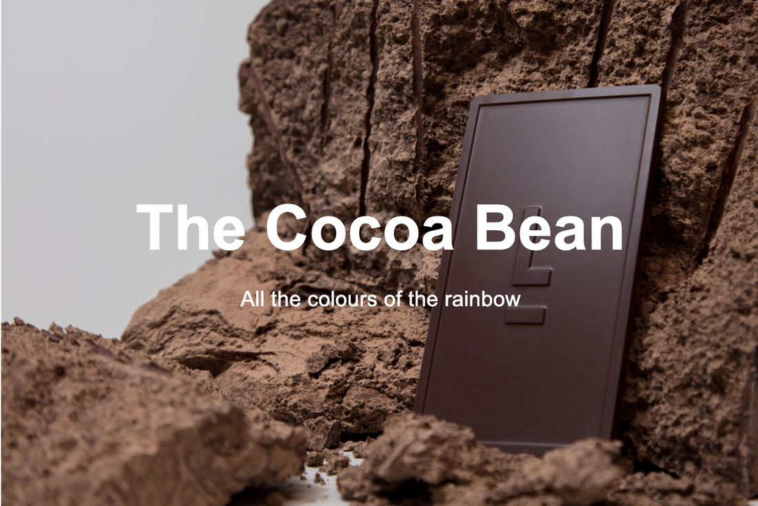 How to make chocolate the bean-to-bar way: Part 1
